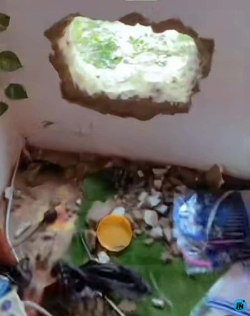 Heartbroken lady devastated as thieves empty her shop overnight (Video) Heartbroken lady devastated as thieves empty her shop overnight (Video)